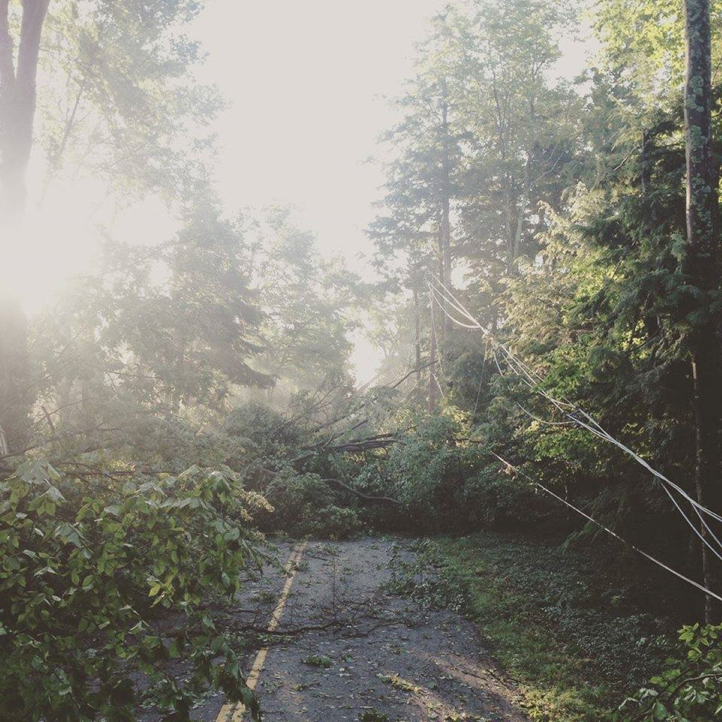 Summer Storm Photos 2015