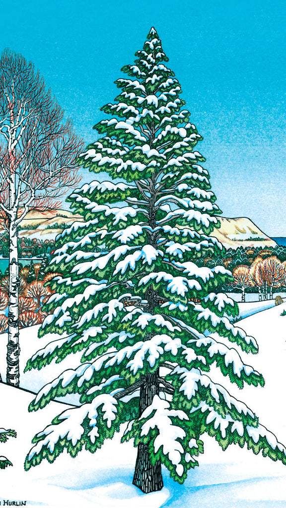 2021 Black Friday / Cyber Monday