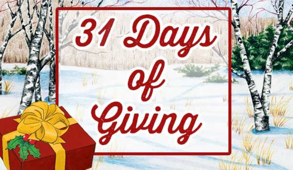 31 Days of Giving