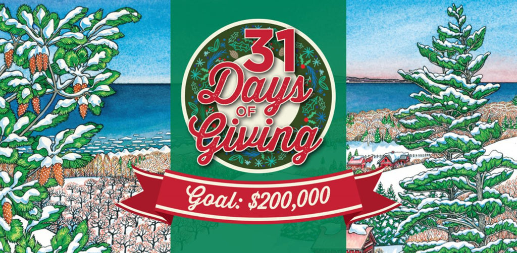 The 31 Days of Giving