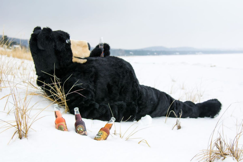 Name the Bear: 5 Finalists