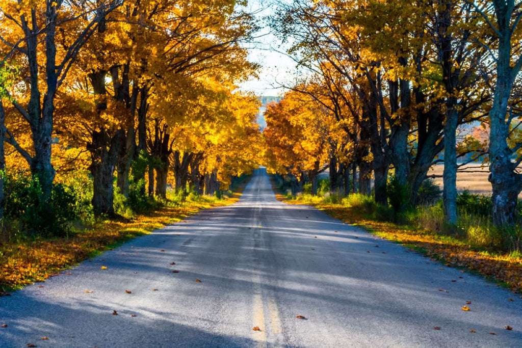 Fall Color Tour of Leelanau County - Our Top Spots
