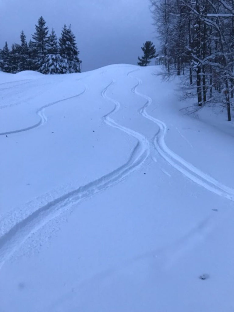 The 2019 Polar Vortex