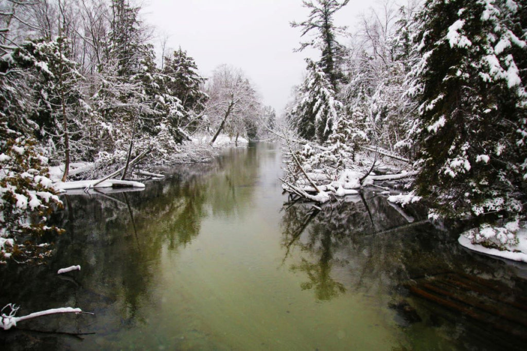 2016 Glen Arbor Area Winter