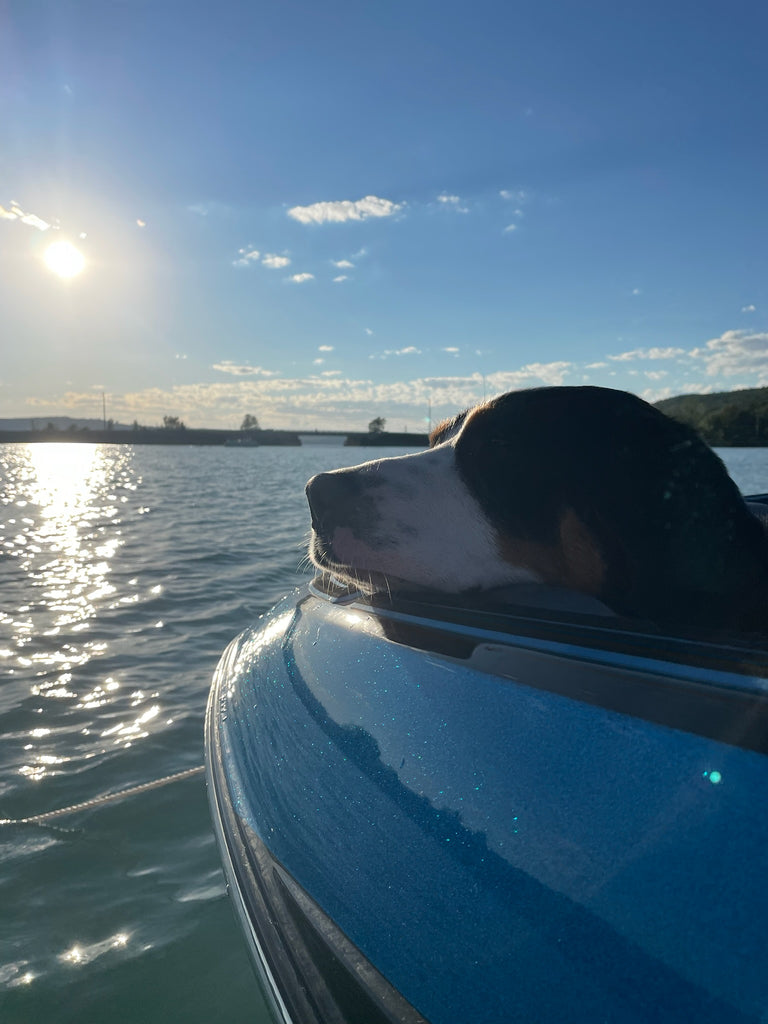 A Perfect Summer Night