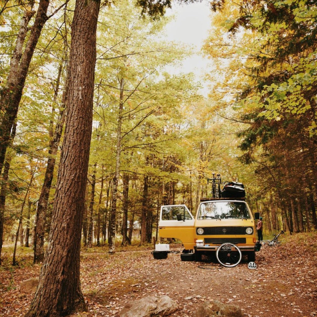 Patagonia Line 5 Film