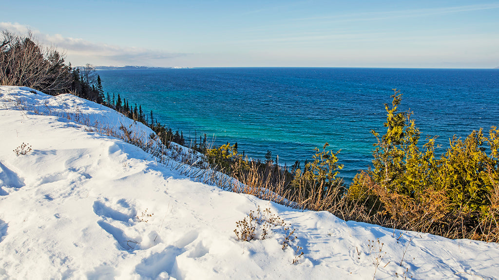 A Toast to Resilience: Glen Arbor and the Storm of 2015