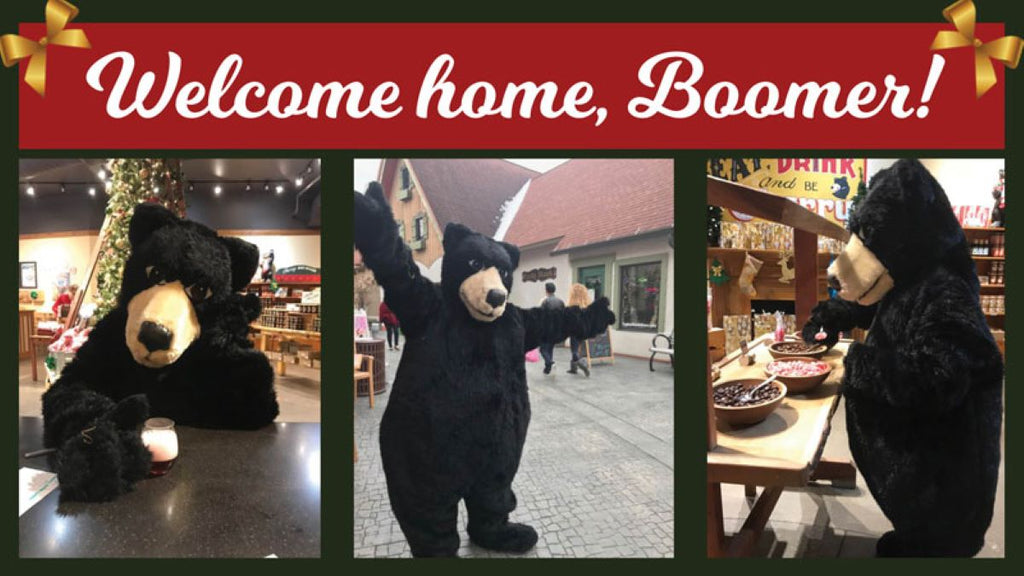 Boomer Bear Makes It Home For Christmas