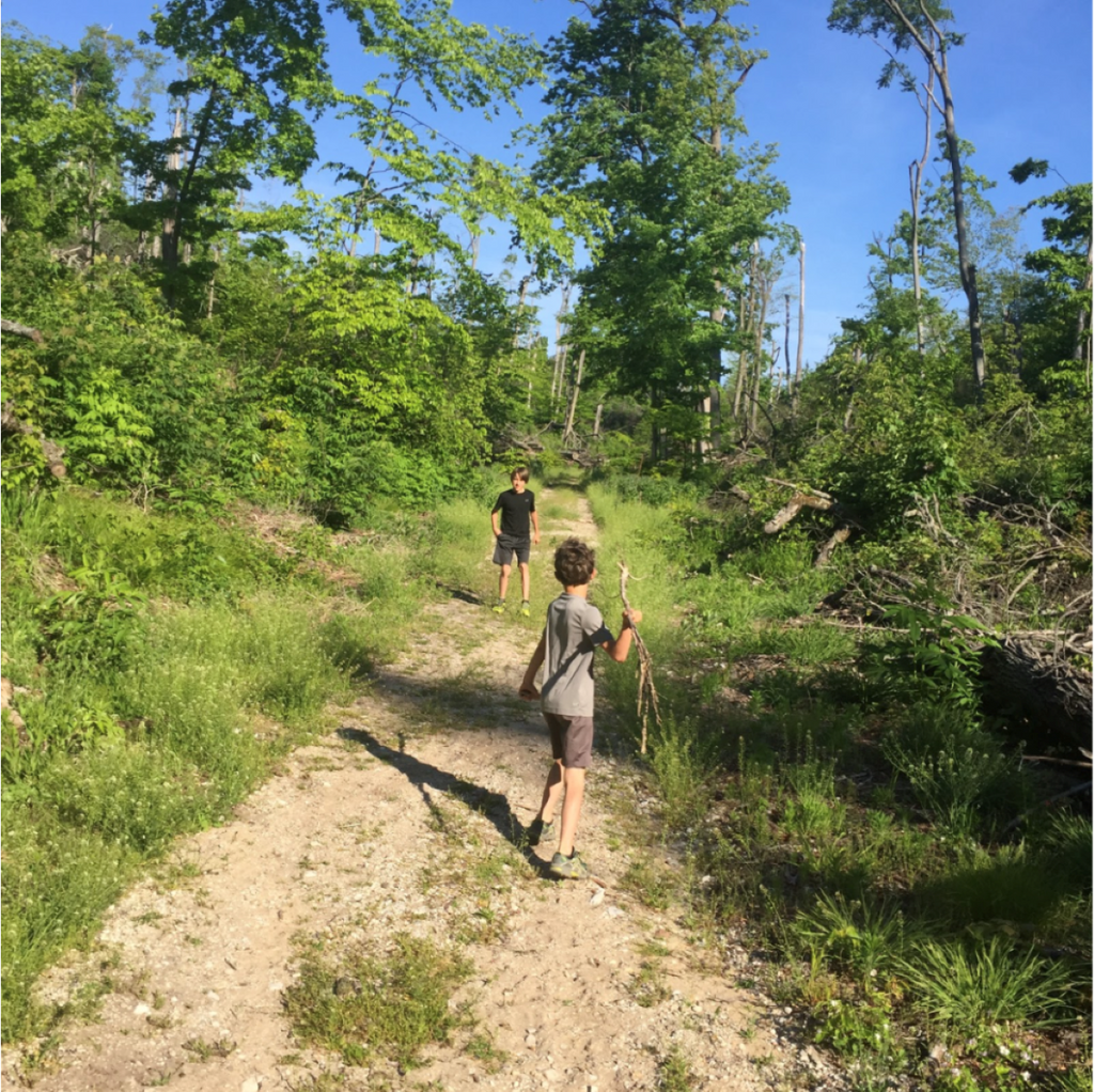 A Walk In The Woods... To School