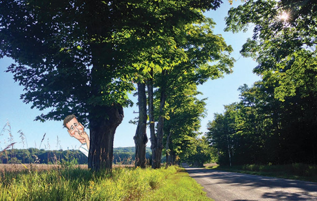 Hide and Go Seek