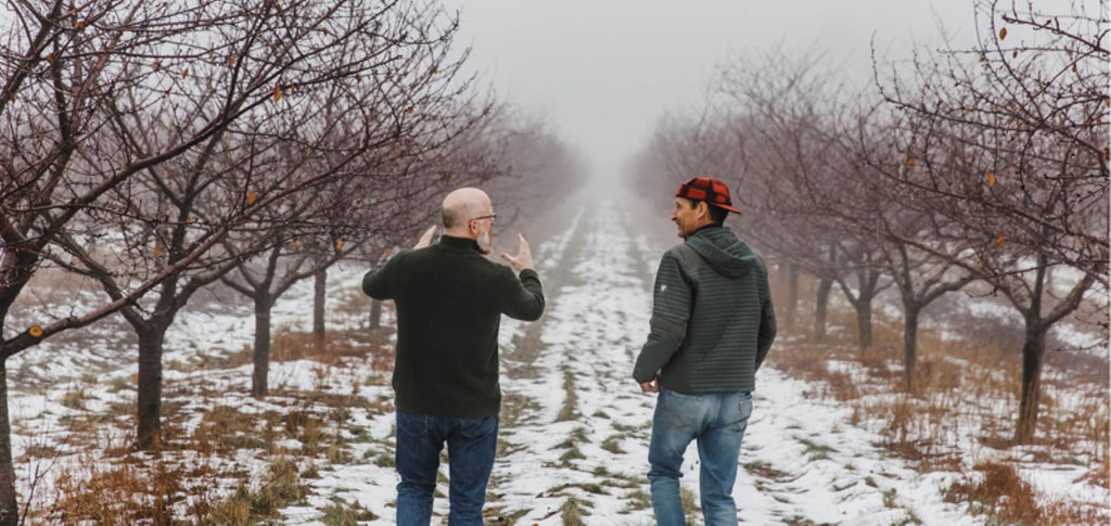 2020 Focus On Cherries