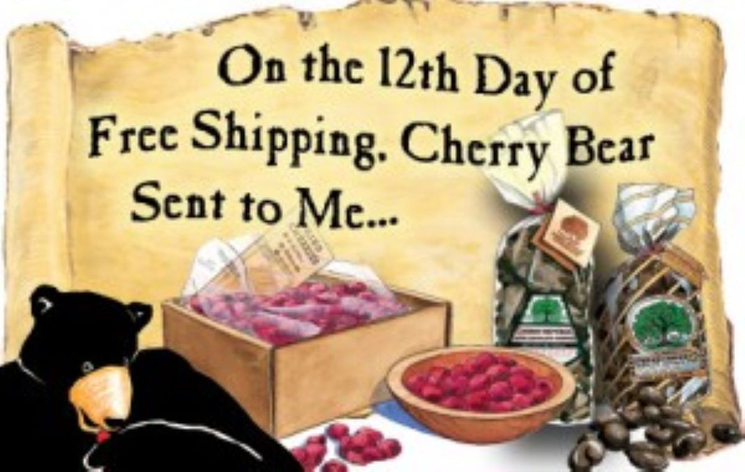 Free Shipping Top Ten