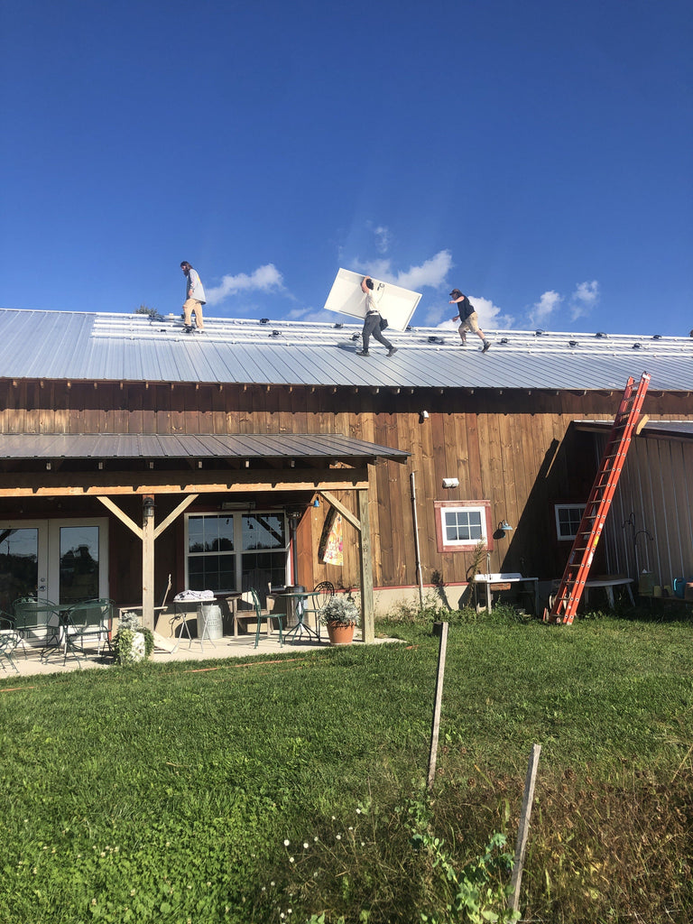 Cultivating A Sunny Future