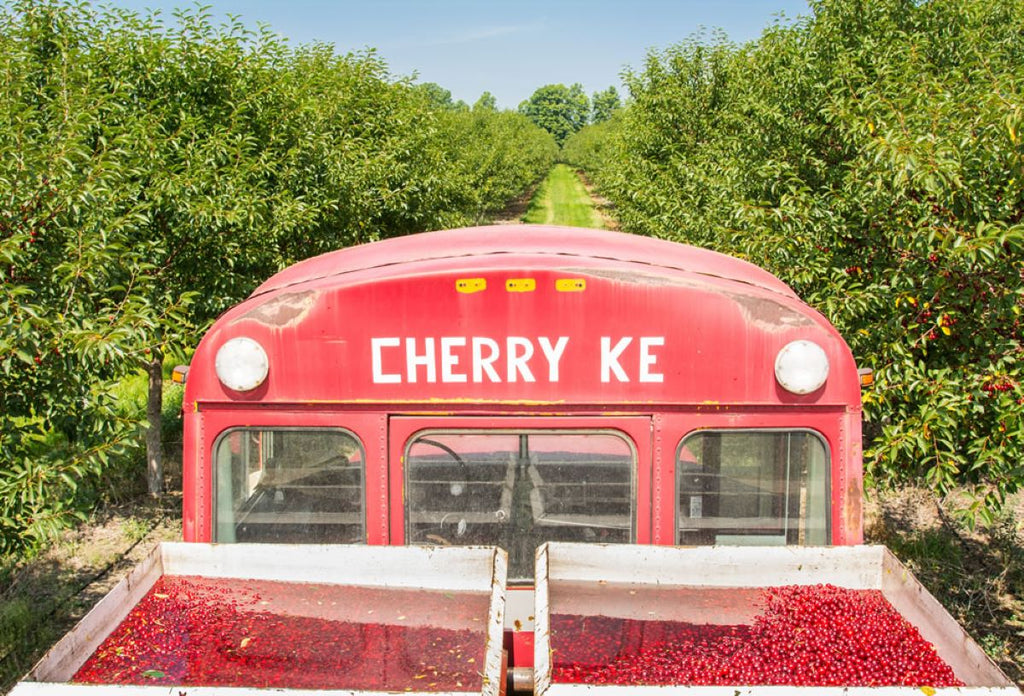 Introducing Montmorency Preserves Nouveau