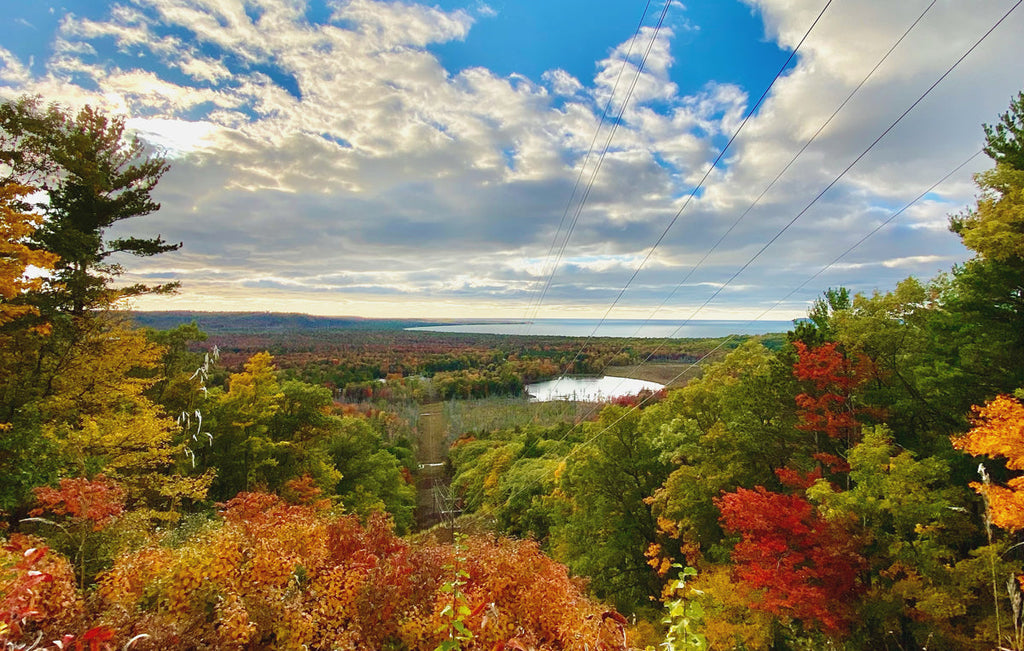 Leaf Day 2020: Taking Time To Recharge