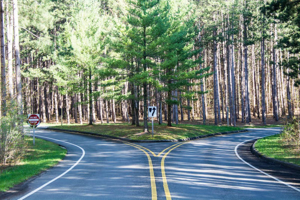 Pierce Stocking Scenic Drive