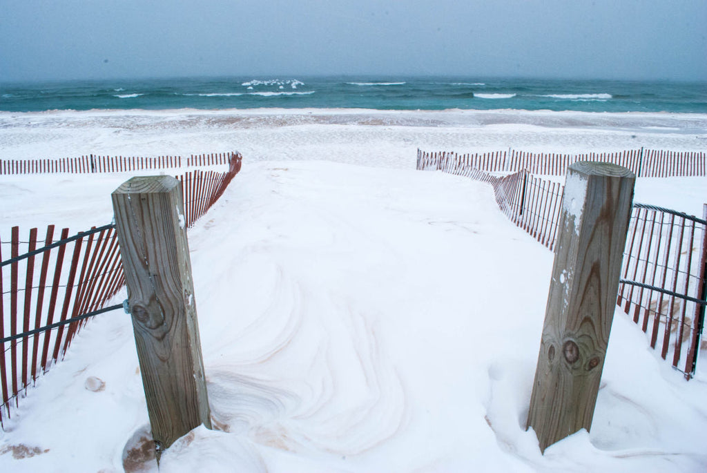 Polar Vortex: The Winter Storm in Northern Michigan