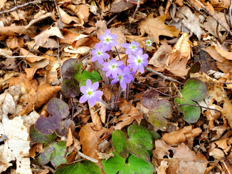 March Outdoors