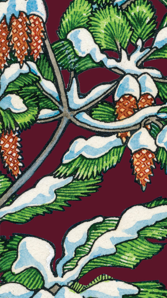 Start Spreading The Cheer