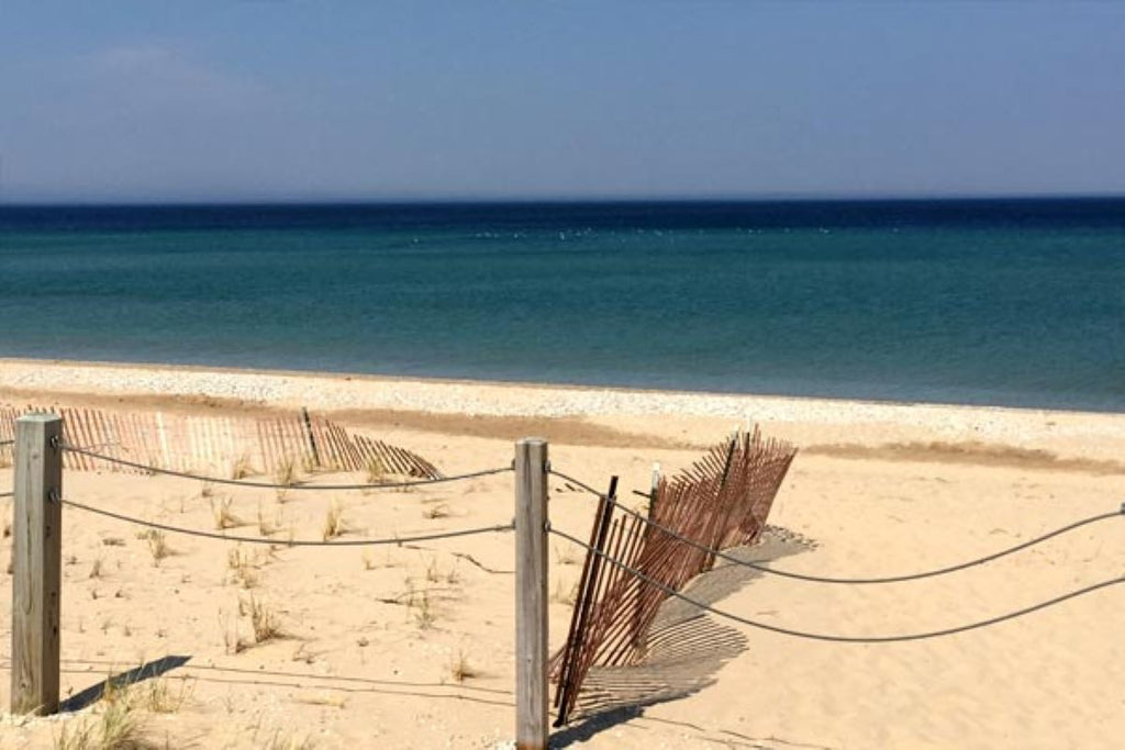 What's New Up North This Summer