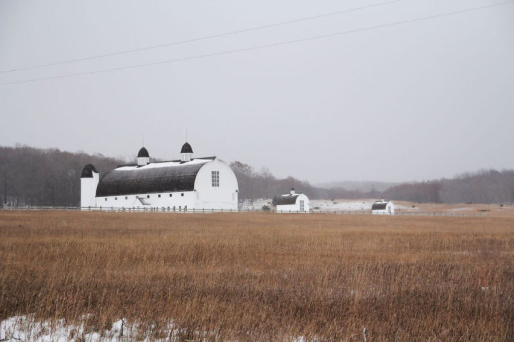 Winter Comes Early to Northern Michigan