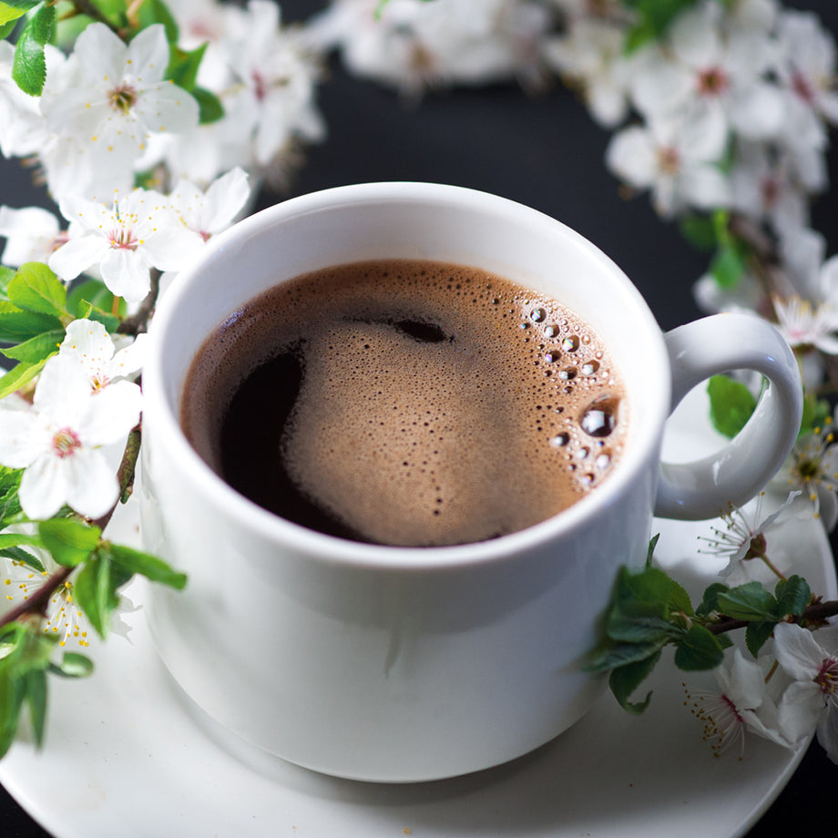 Lake Street Decaf Cherry Coffee (12 oz.) | Cherry Republic