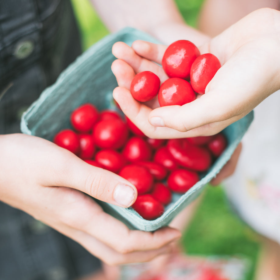 Imperial Red Chocolate Covered Cherries | Cherry Republic
