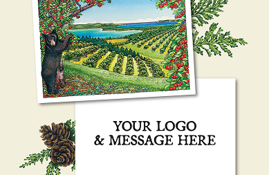 Your logo here